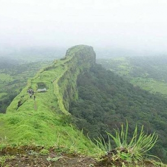 Al-Mahra Governorate